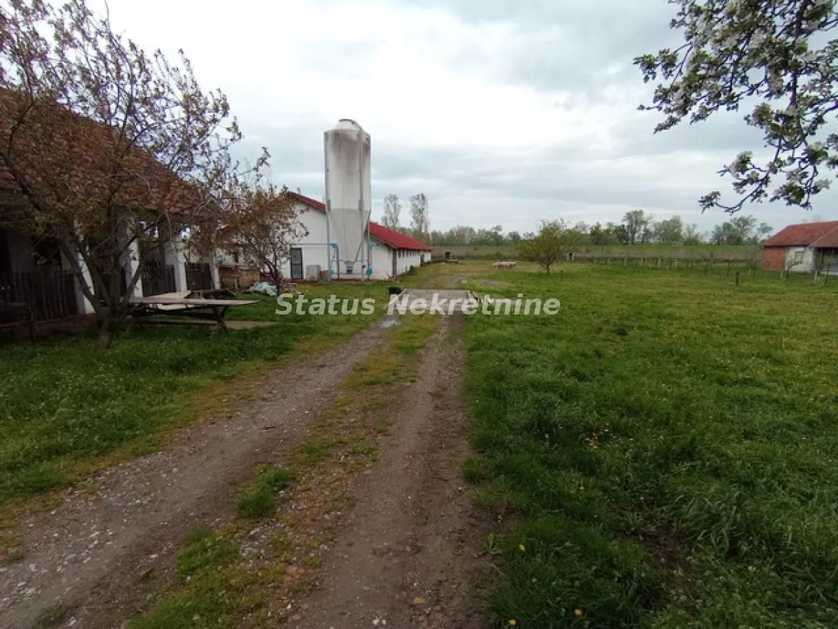 Sale, office space, 848m², Titel, Novi Sad