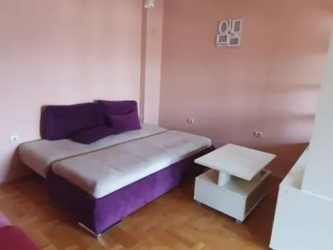 Rent, one bedroom apartment, 30m², Podbara, Novi Sad Sve Podlokacije - image 3