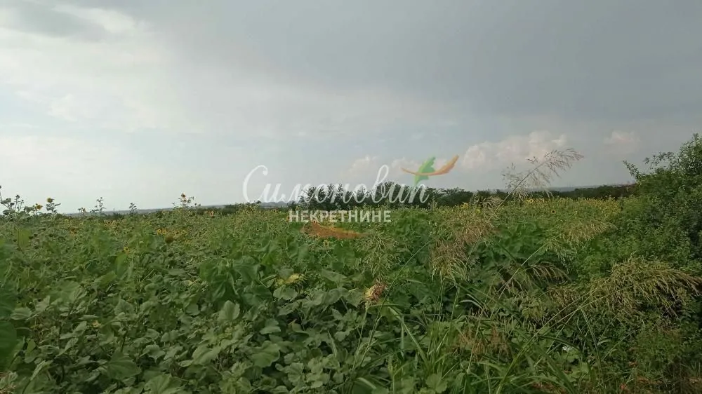 Sale, land lot, 2800m², Železnik, Beograd