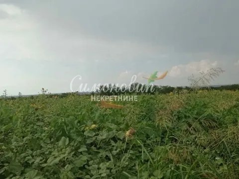 Sale, land lot, 2800m², Železnik, Beograd - image 10