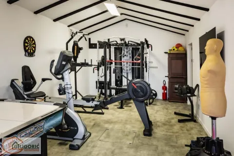 Prodaja, kuća, 380m², Sremska Kamenica, Petrovaradin - image 16