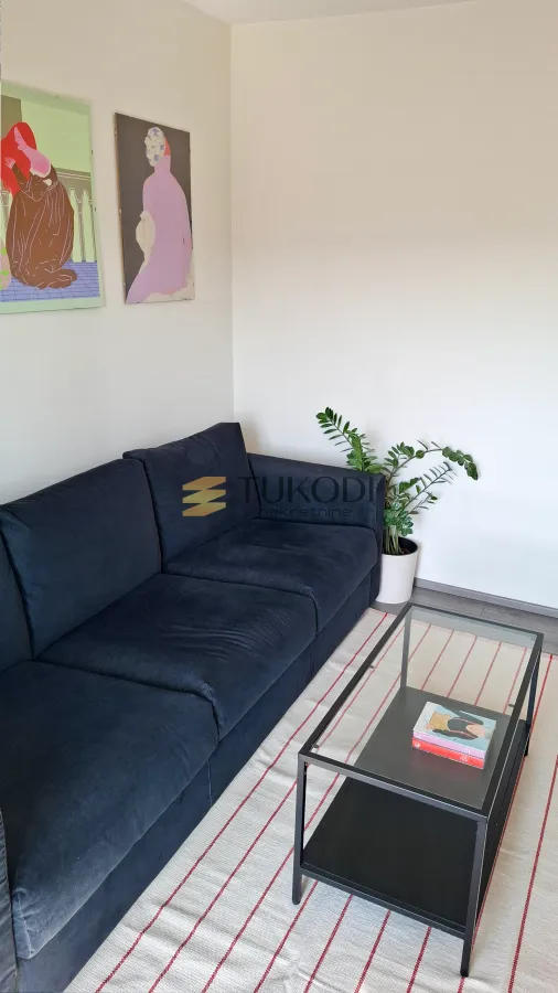 Izdavanje, jednosoban stan, 40m², Stari Grad, Beograd
