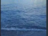 Rent, one bedroom apartment, 30m², Rafailovići, Budva - image 11