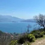 Prodaja, plac, 1000m², Baošići, Herceg Novi - image 2