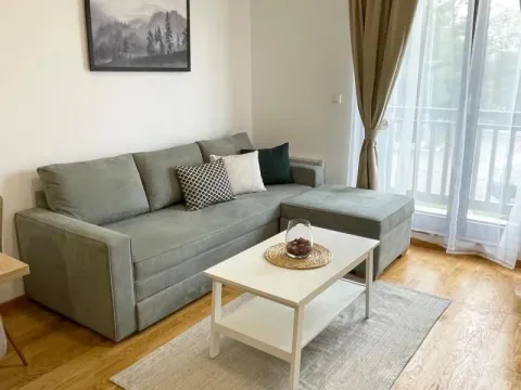 Sale, one bedroom apartment, 27m², Zlatibor, Srbija - image 5