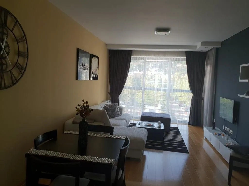Rent, one bedroom apartment, 55m², Preko Morače, Podgorica