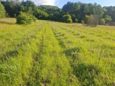 Sale, land lot, 3000m², Kruševac, Srbija - image 5