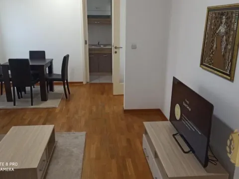 Izdavanje, dvosoban stan, 50m², Novi Beograd Blok 67, Novi Beograd Sve Podlokacije - image 3