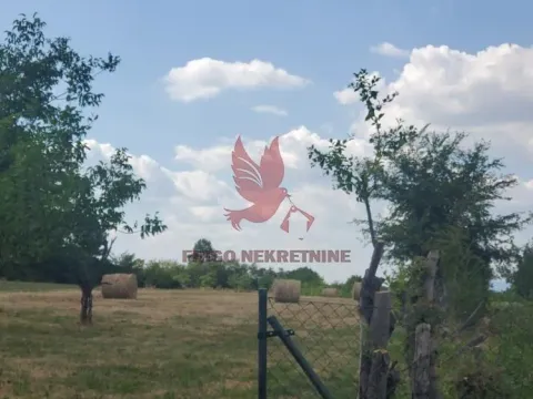 Prodaja, kuća, 280m², Centar, Topola - image 4