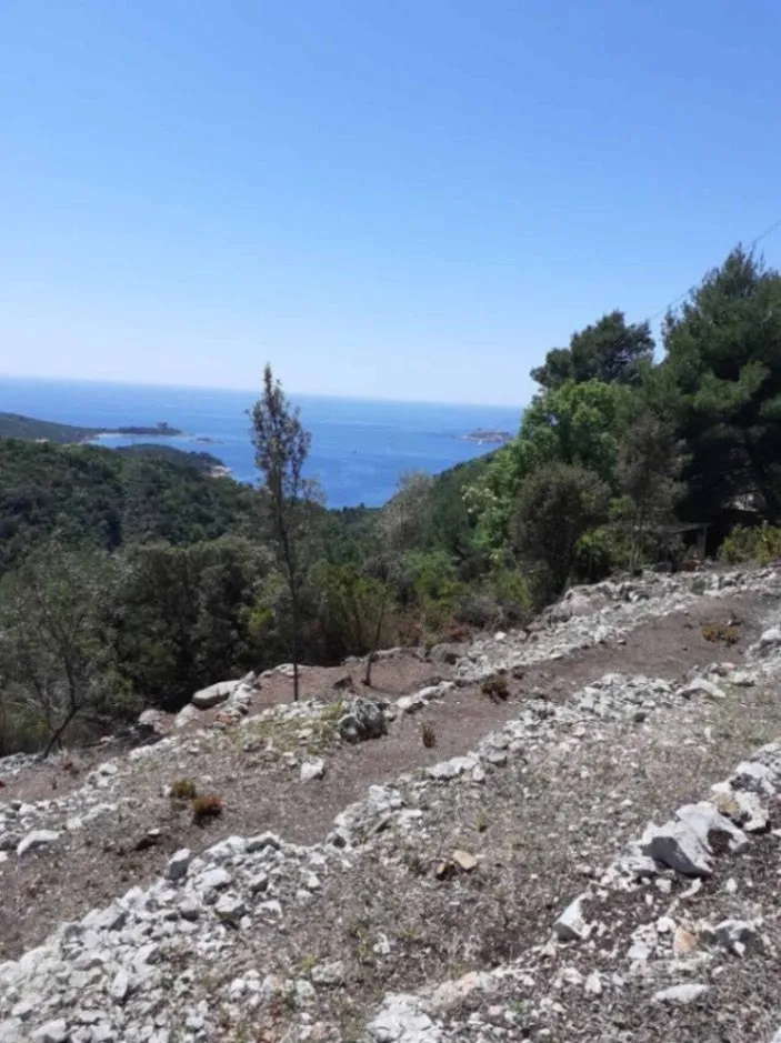 Prodaja, plac, 4554m², Radovići, Tivat