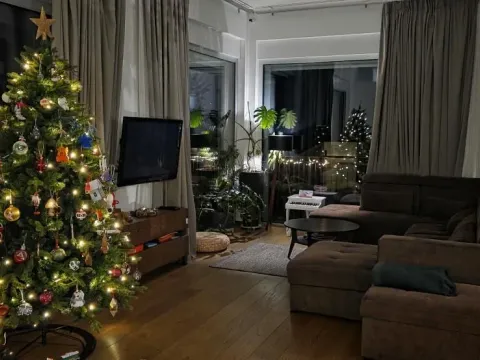 Prodaja, kuća, 337m², Sremska Kamenica, Petrovaradin - image 16