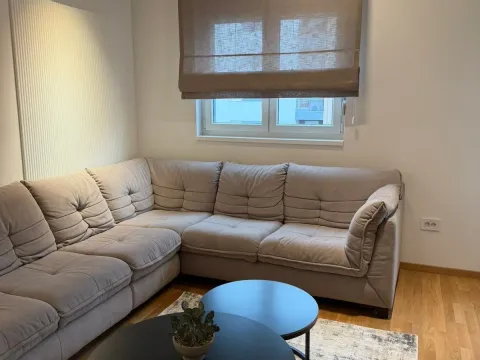 Izdavanje, jednosoban stan, 48m², Stari Aerodrom, Podgorica - image 3