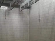 Izdavanje, poslovni prostor, 3500m², Bečmen, Surčin - image 11