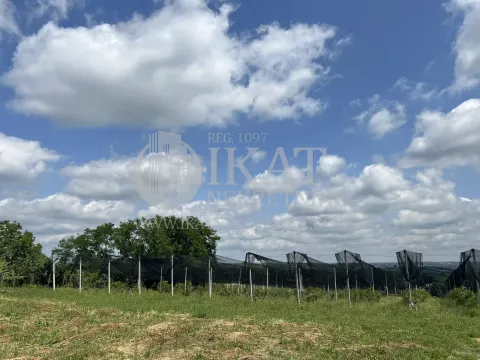 Prodaja, plac, 9000m², Nemenikuće, Sopot - image 2