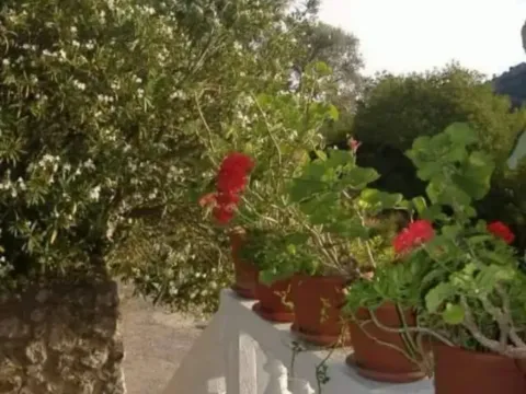 Prodaja, kuća, 157m², Mišići, Bar - image 6