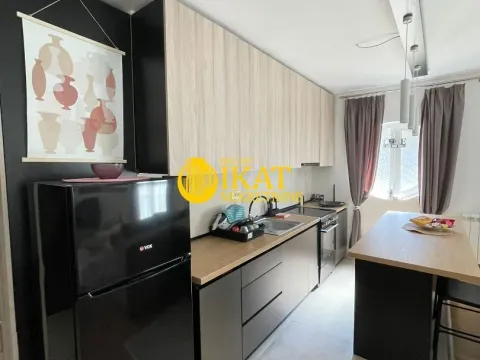 Izdavanje, dvosoban stan, 47m², Karaburma, Palilula Sve Podlokacije - image 3