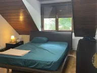 Izdavanje, kuća, 160m², Savski Venac, Beograd - image 4