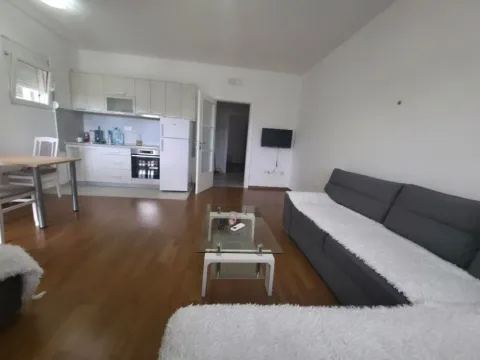 Izdavanje, jednosoban stan, 46m², Podgorica, Crna Gora - image 3