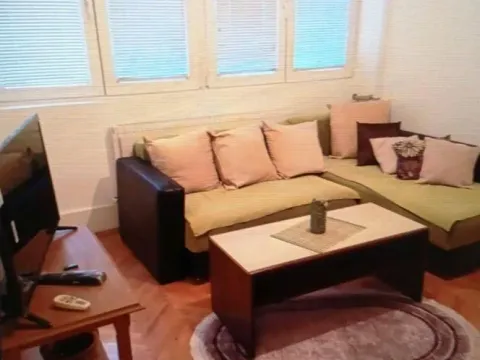 Izdavanje, jednosoban stan, 38m², Erdoglija, Kragujevac - image 5