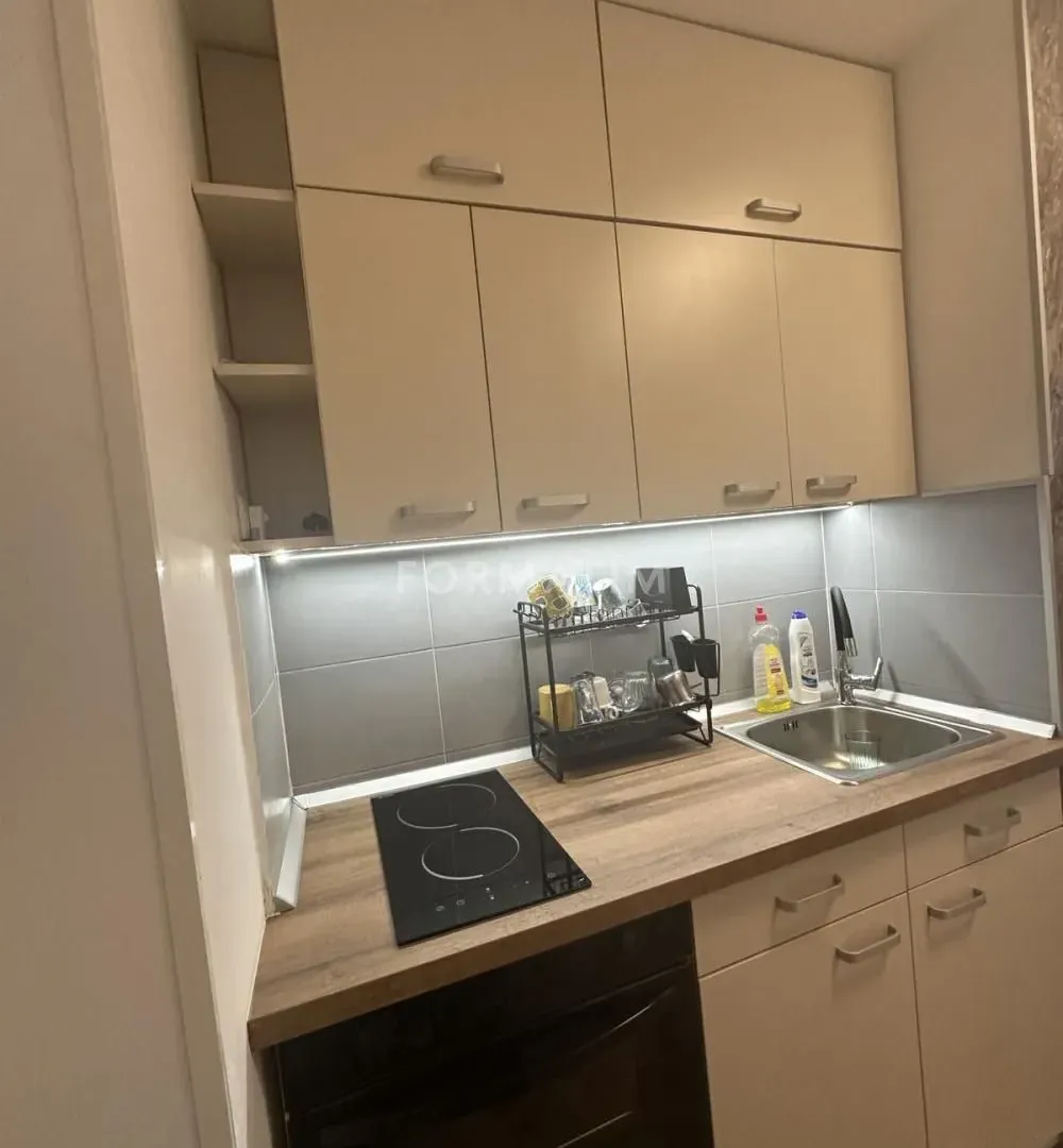 Rent, one bedroom apartment, 40m², Zvezdarska Šuma, Zvezdara Sve Podlokacije