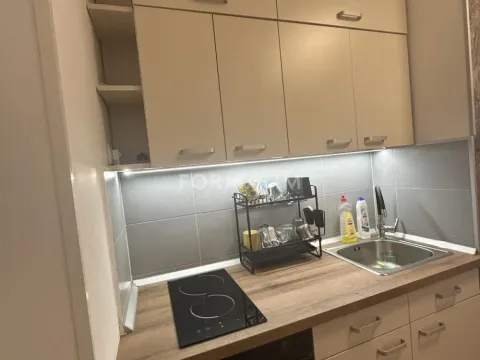 Izdavanje, jednosoban stan, 40m², Zvezdarska Šuma, Zvezdara Sve Podlokacije - image 13