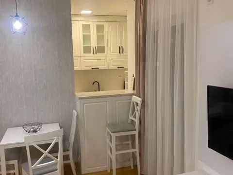 Izdavanje, jednosoban stan, 45m², Zabjelo, Podgorica - image 4