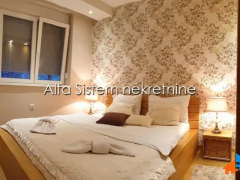 Izdavanje, dvosoban stan, 55m², Vračar Hram, Vračar Sve Podlokacije - image 13