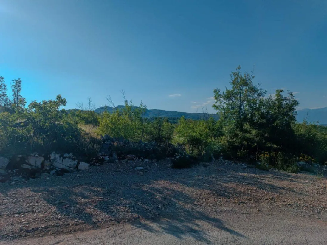 Prodaja, plac, 30962m², Lješanska Nahija, Podgorica