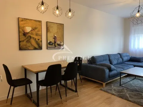 Izdavanje, jednosoban stan, 47m², Central Point, Podgorica - image 4