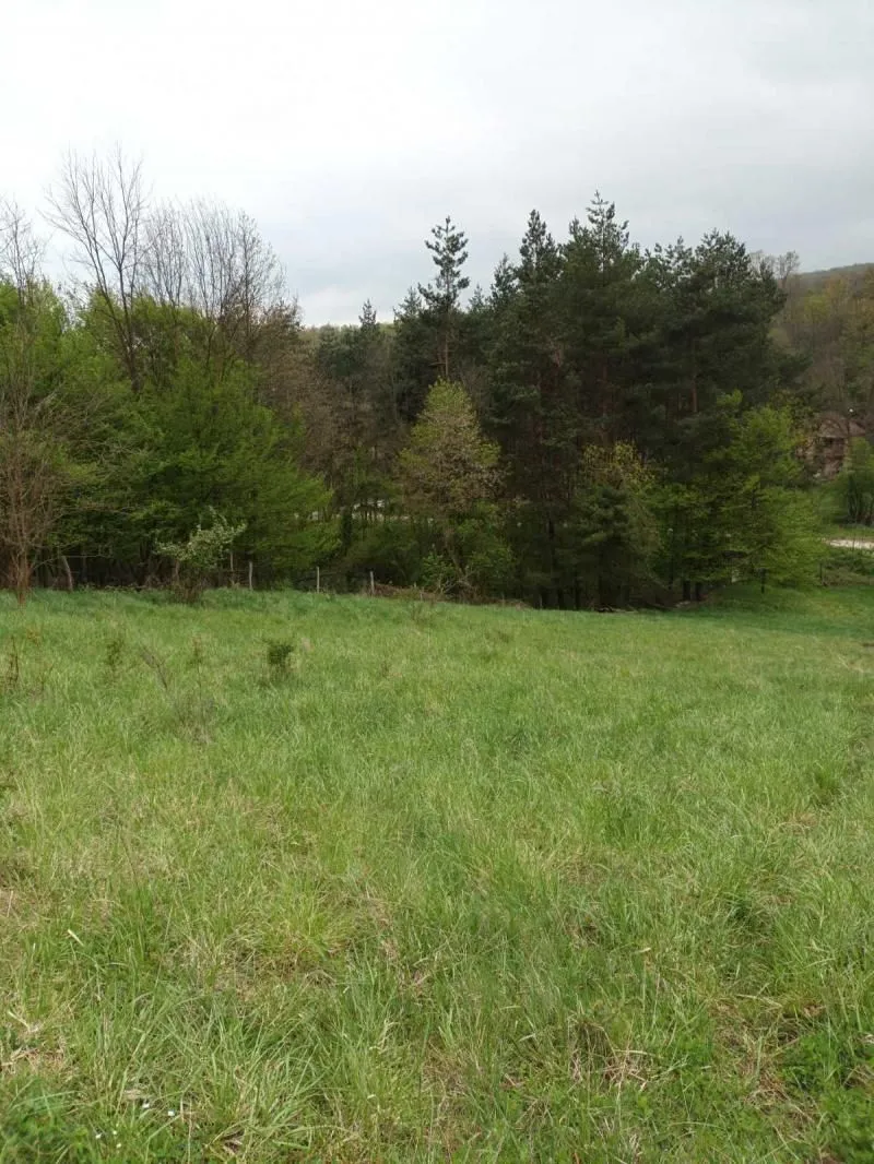 Prodaja, plac, 4700m², Babe, Sopot