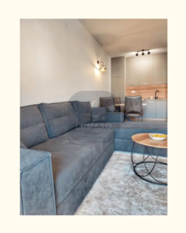 Rent, one bedroom apartment, 49m², Master Kvart, Podgorica