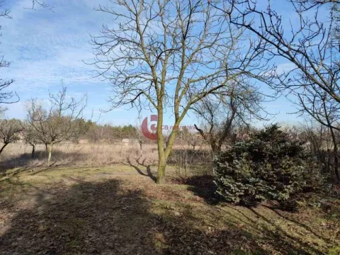 Prodaja, kuća, 100m², Makova Sedmica, Subotica - image 9