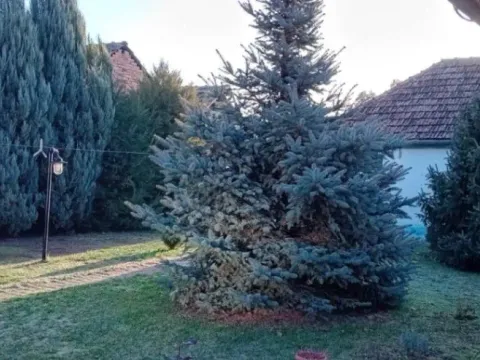 Sale, house, 145m², Kikinda, Srbija - image 9