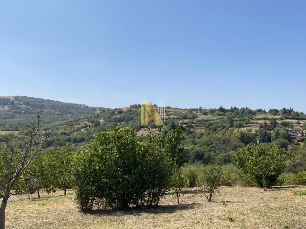 Prodaja, plac, 2656m², Ledinci, Petrovaradin