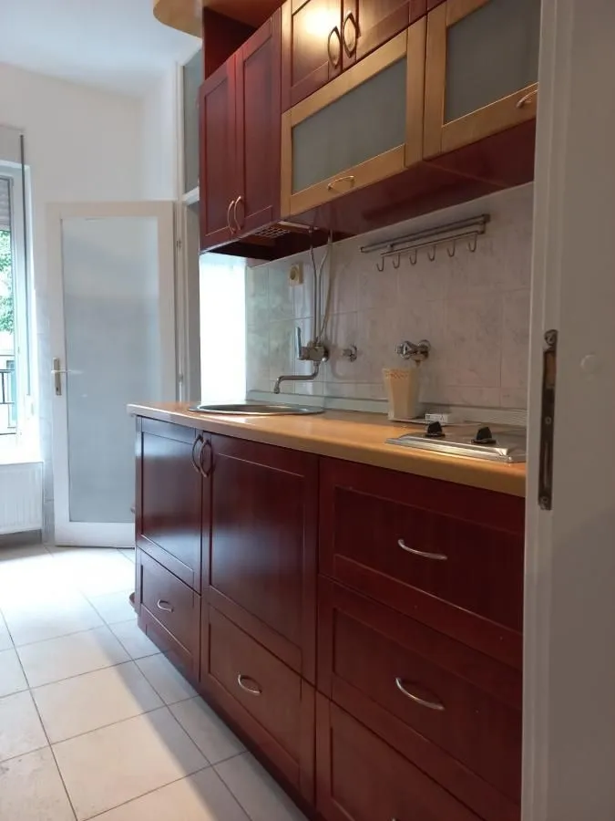 Rent, four bedroom apartment, 82m², Slavija, Vračar Sve Podlokacije