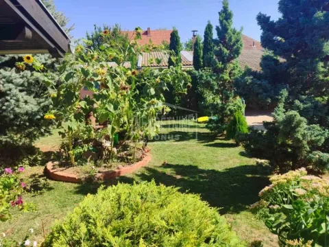 Prodaja, kuća, 214m², Aleksandrovo, Subotica - image 20