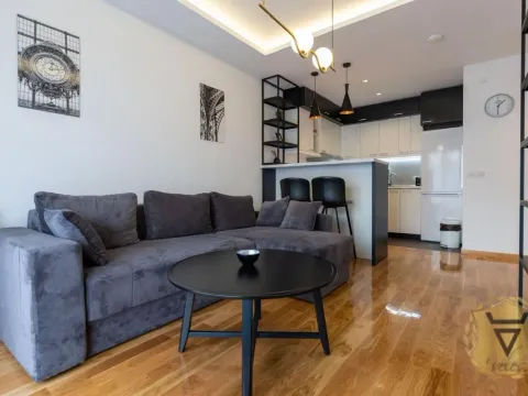 Izdavanje, jednosoban stan, 43m², Južni Bulevar, Vračar Sve Podlokacije - image 2