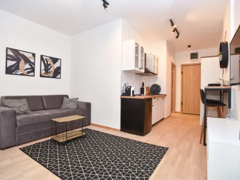 Rent, studio apartment, 30m², Budva, Crna Gora - image 18