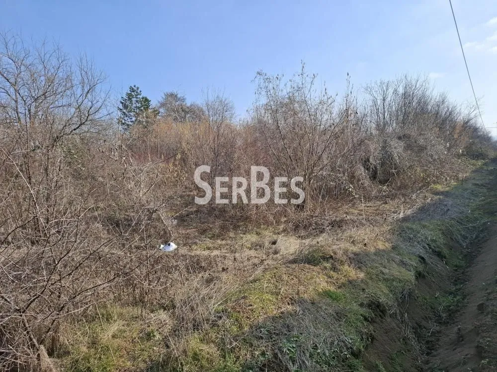 Prodaja, plac, 3251m², Trandžament, Petrovaradin
