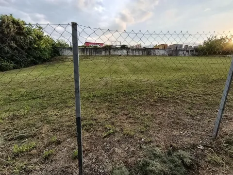 Prodaja, plac, 1000m², Alibegovac, Petrovaradin - image 9