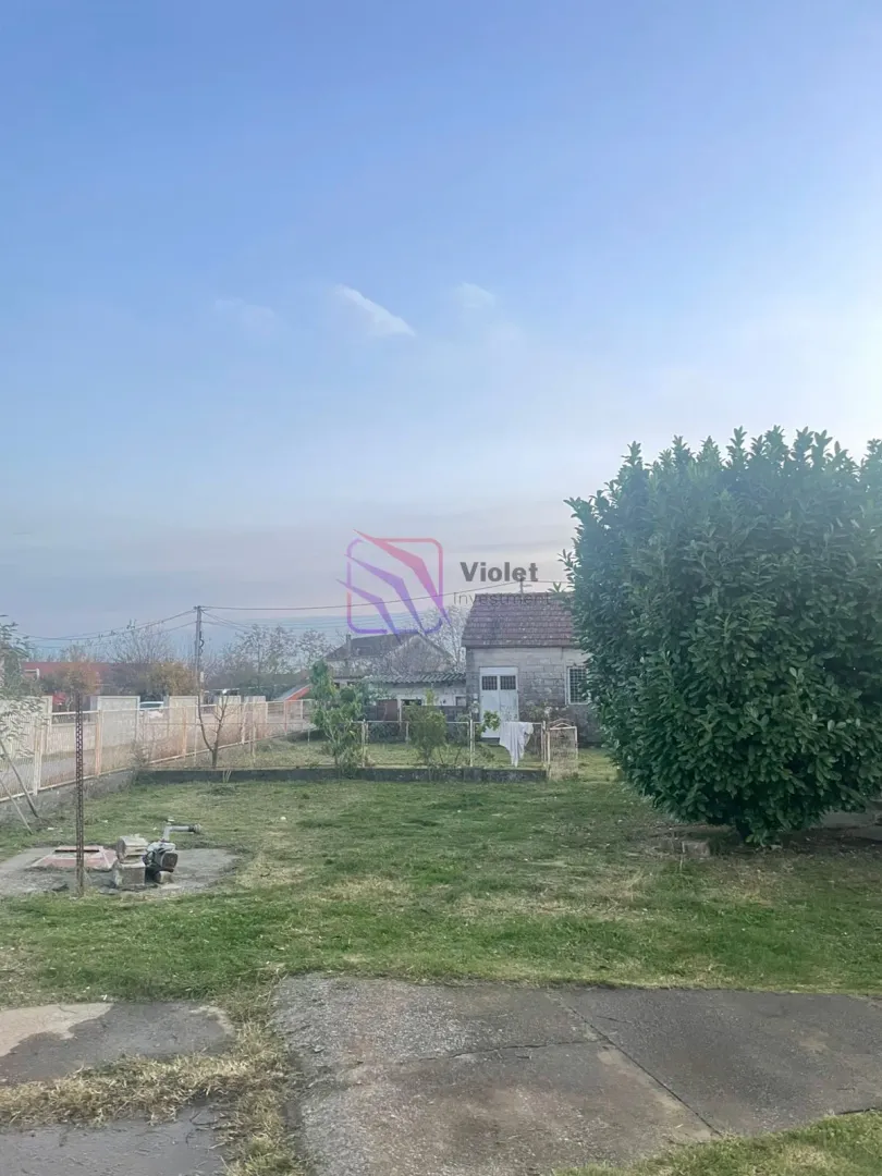 Pogled na dvorište i kuću sa zelenilom.