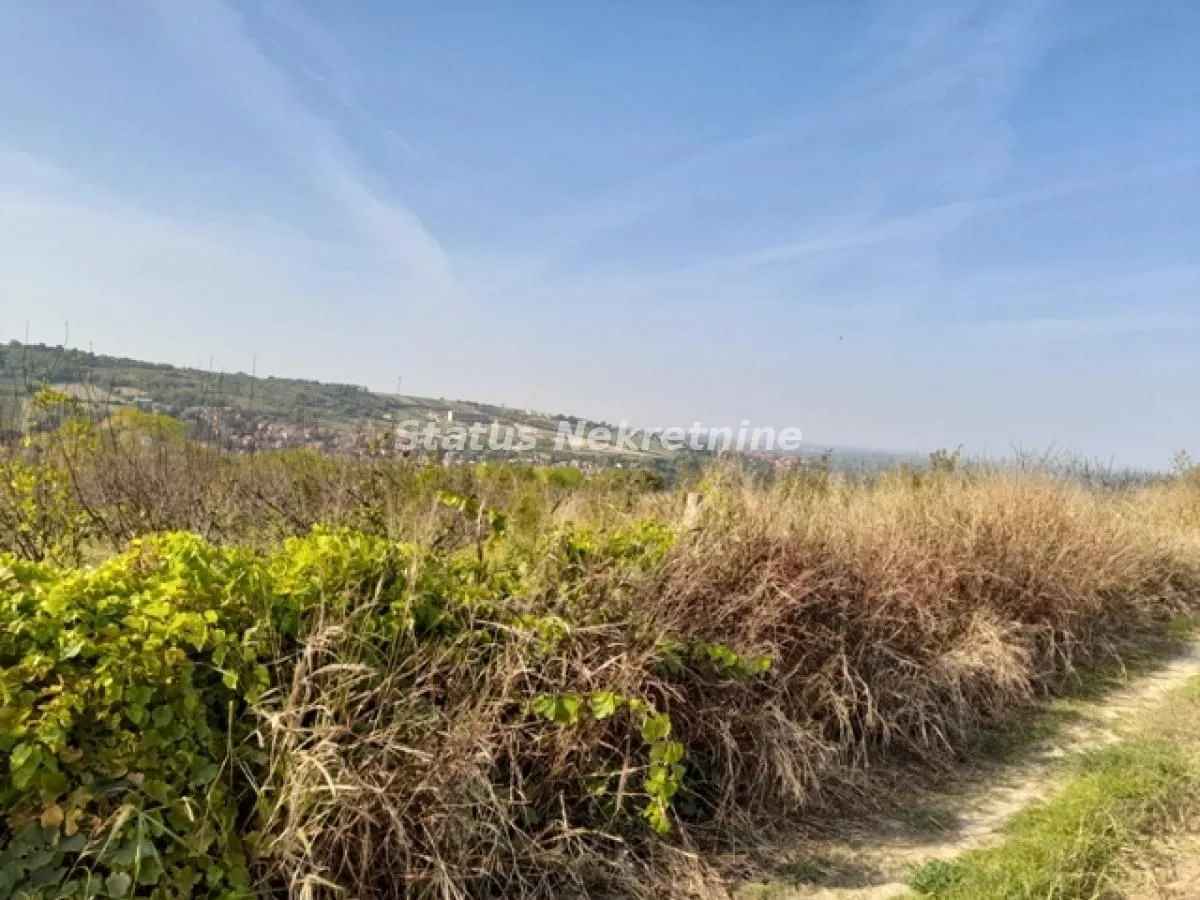 Prodaja, plac, 8000m², Sremski Karlovci, Novi Sad