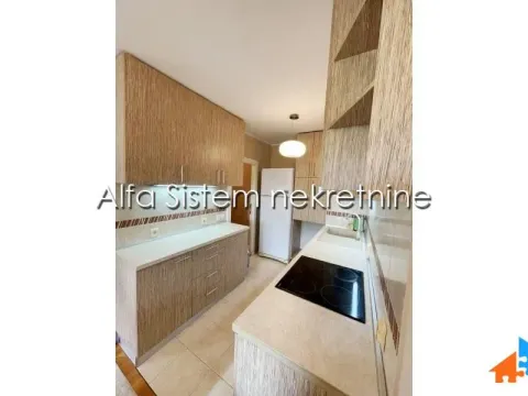 Izdavanje, dvosoban stan, 63m², Novi Beograd Sve Podlokacije, Beograd - image 5