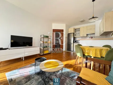 Izdavanje, jednosoban stan, 50m², City Kvart, Podgorica - image 4