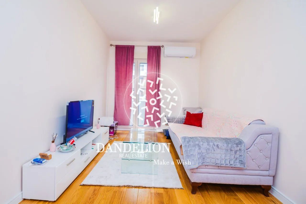 Rent, one bedroom apartment, 43m², Central Point, Podgorica