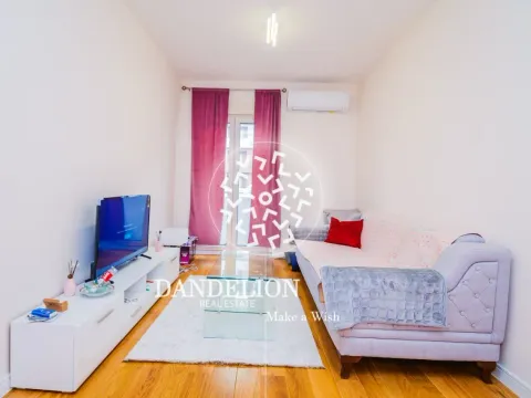 Izdavanje, jednosoban stan, 43m², Central Point, Podgorica