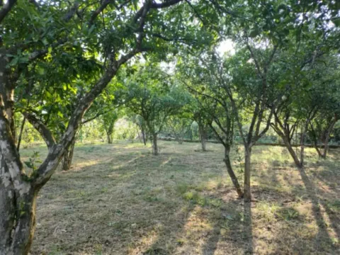 Sale, house, 210m², Zelenika, Herceg Novi - image 8