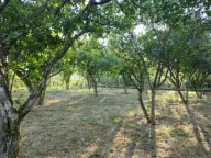 Prodaja, kuća, 210m², Zelenika, Herceg Novi - image 8