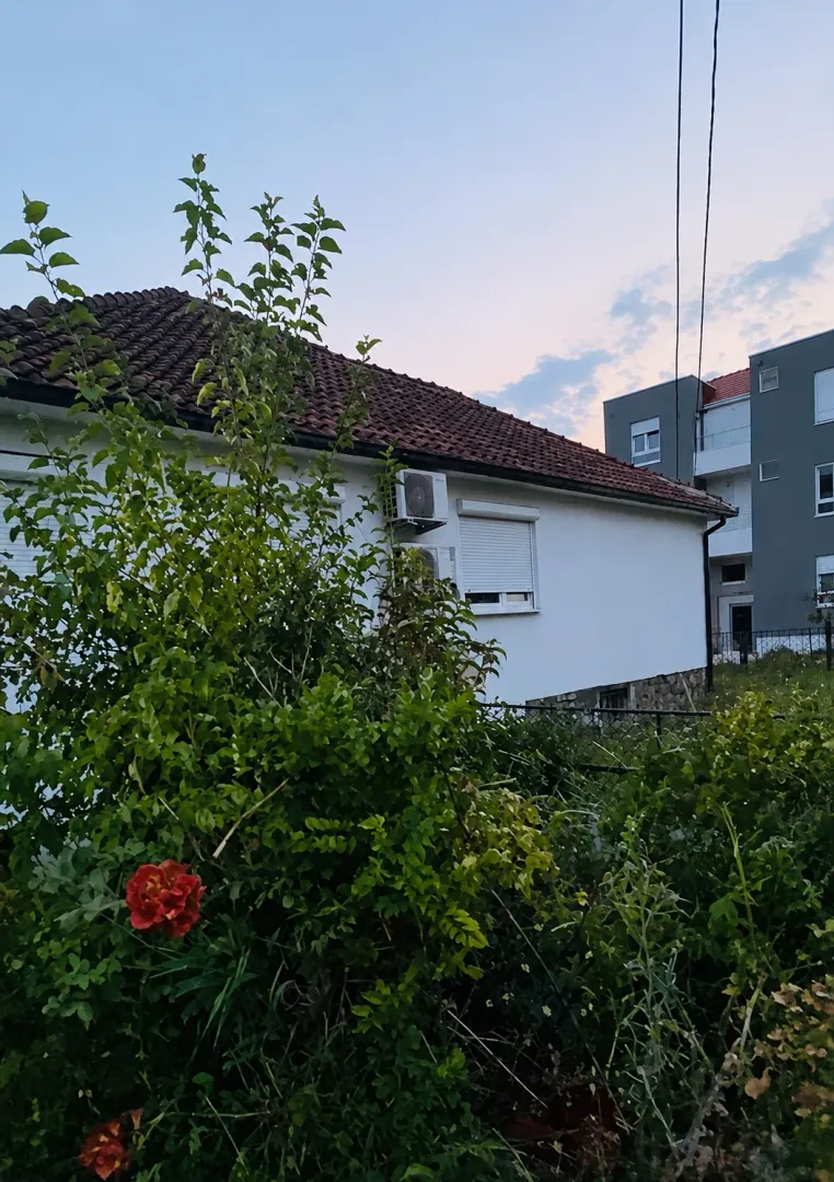 Pogled na dvorište i spoljašnjost kuće sa zelenilom.