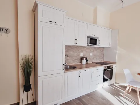 Rent, one bedroom apartment, 49m², Bečići, Budva - image 18